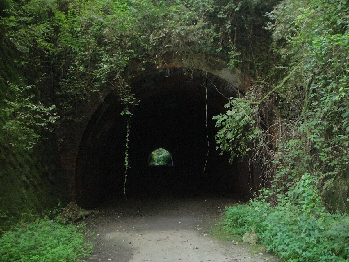 畑トンネルのイメージ（モザイク処理済み）