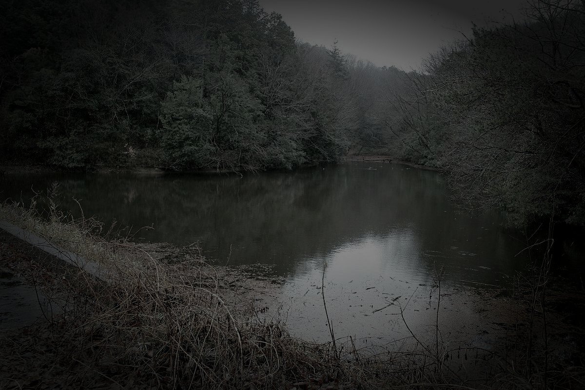 天神沼のイメージ(モザイク処理済み)