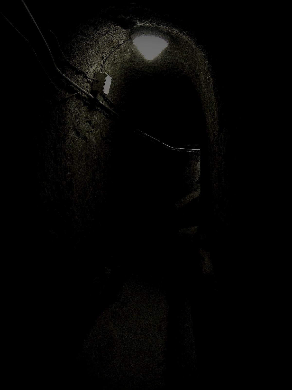 旧海軍司令部壕（豊見城）のイメージ（モザイク処理済み）