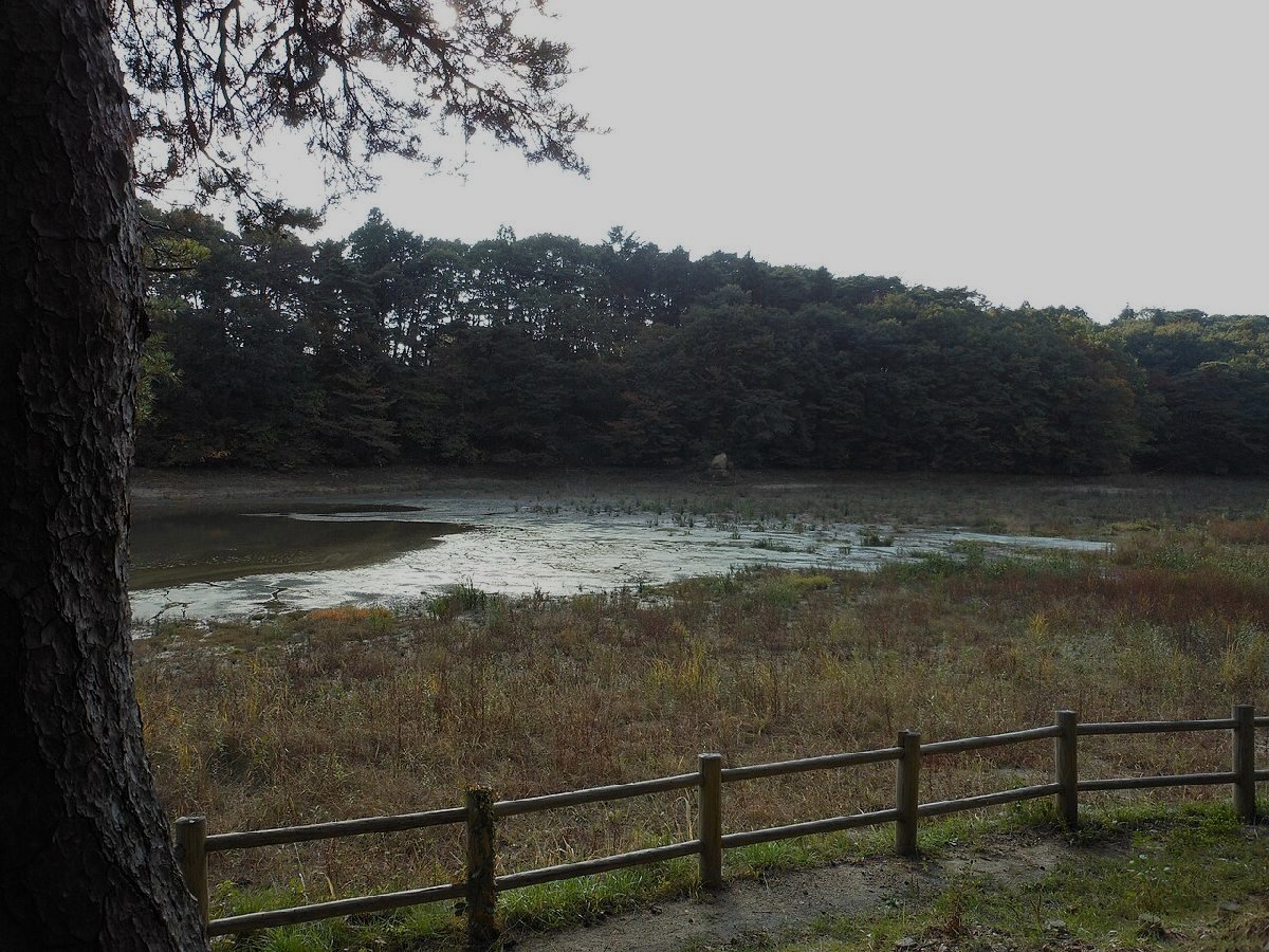 与兵衛沼公園のイメージ（モザイク処理済み）