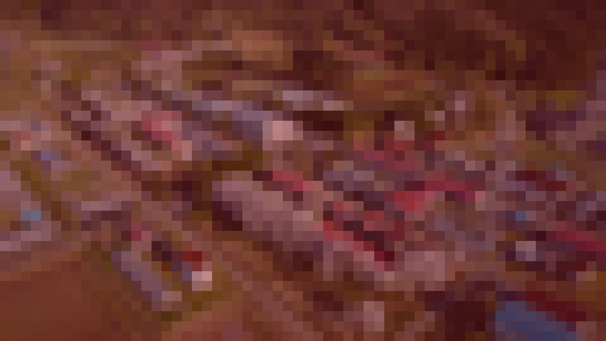 南アルプス市旧農業試験場廃墟のイメージ（モザイク処理済み）