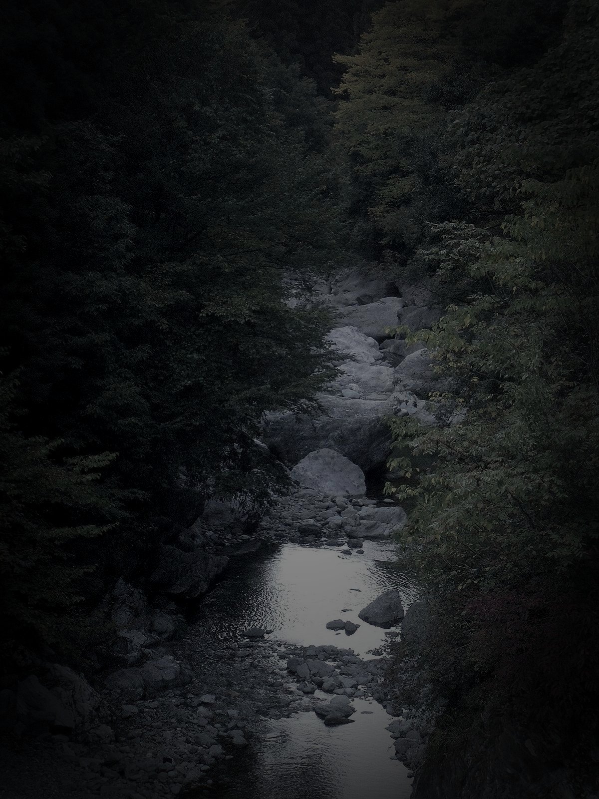 美馬郡つるぎ町の廃集落のイメージ（モザイク処理済み）