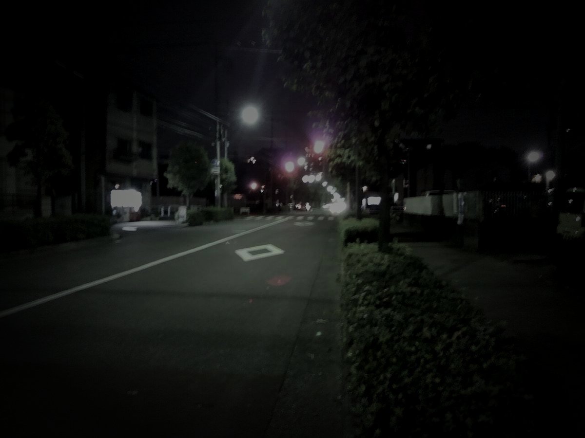 旧中島飛行機武蔵製作所跡のイメージ（モザイク処理済み）