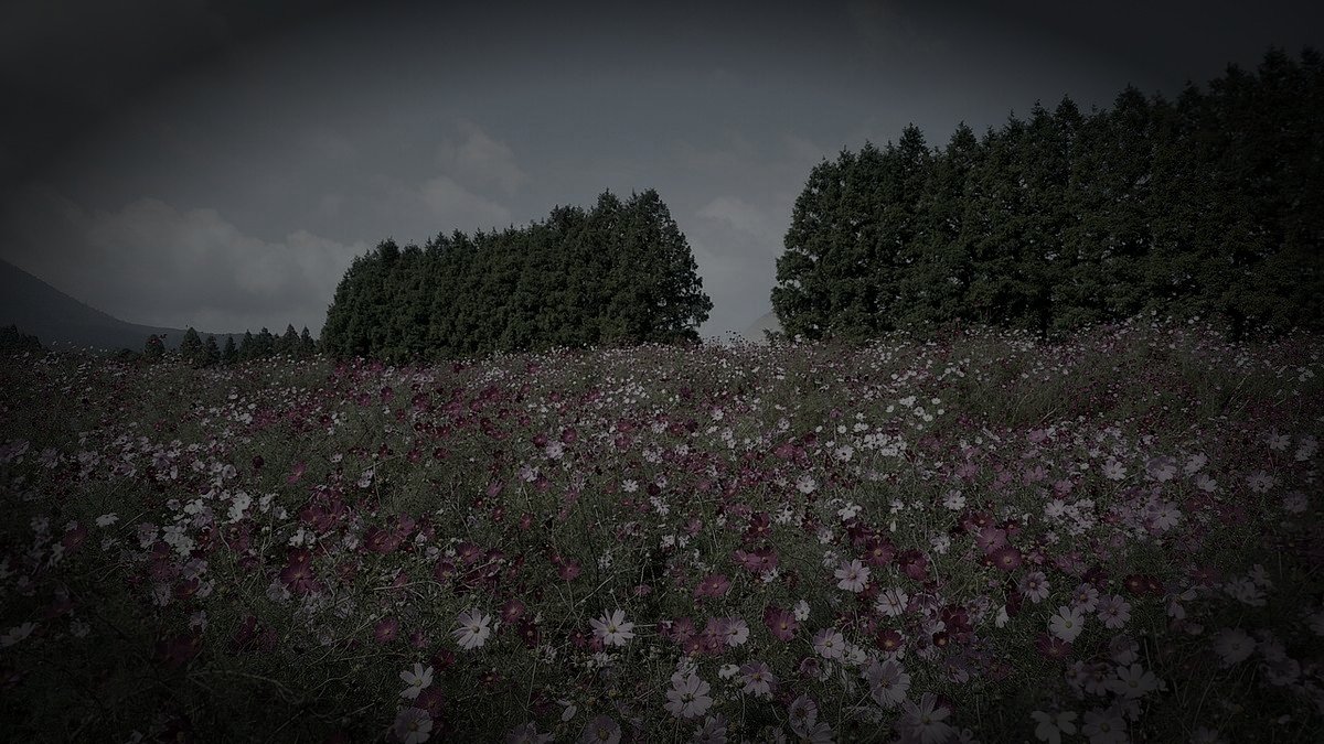 生駒高原廃墟のイメージ（モザイク処理済み）