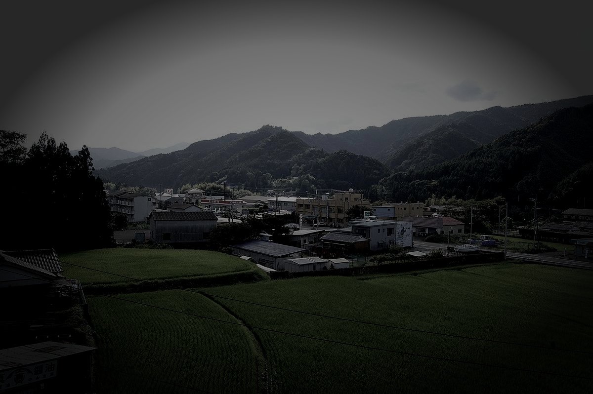 長岡郡本山町の廃農村のイメージ（モザイク処理済み）