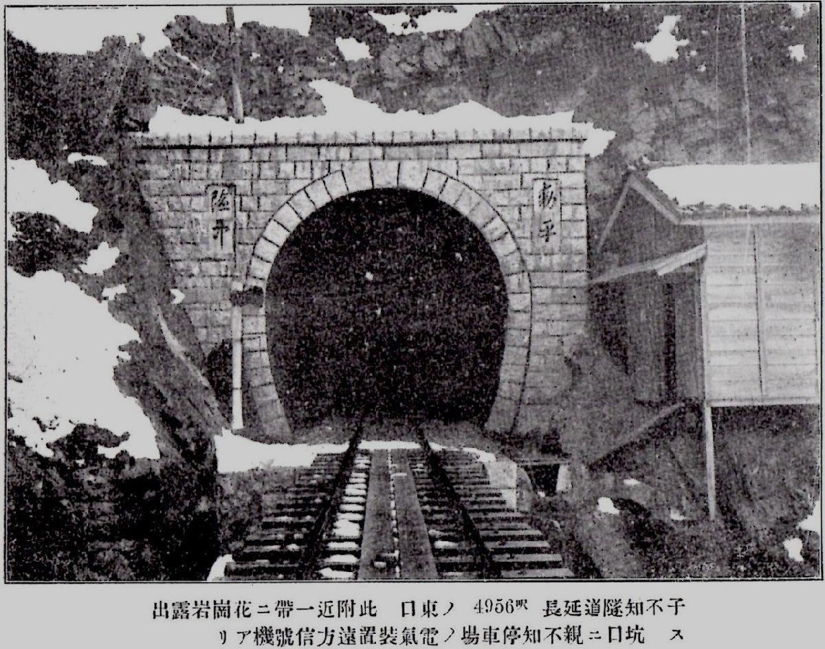 親不知・子不知のイメージ（モザイク処理済み）