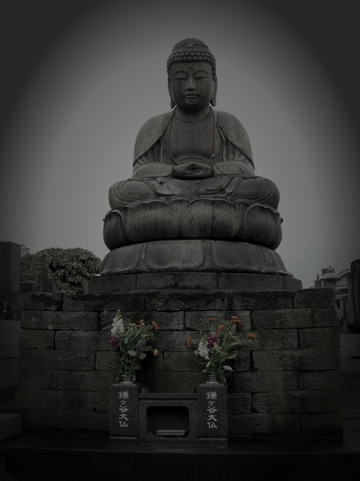 鎌ヶ谷市廃団地のイメージ（モザイク処理済み）