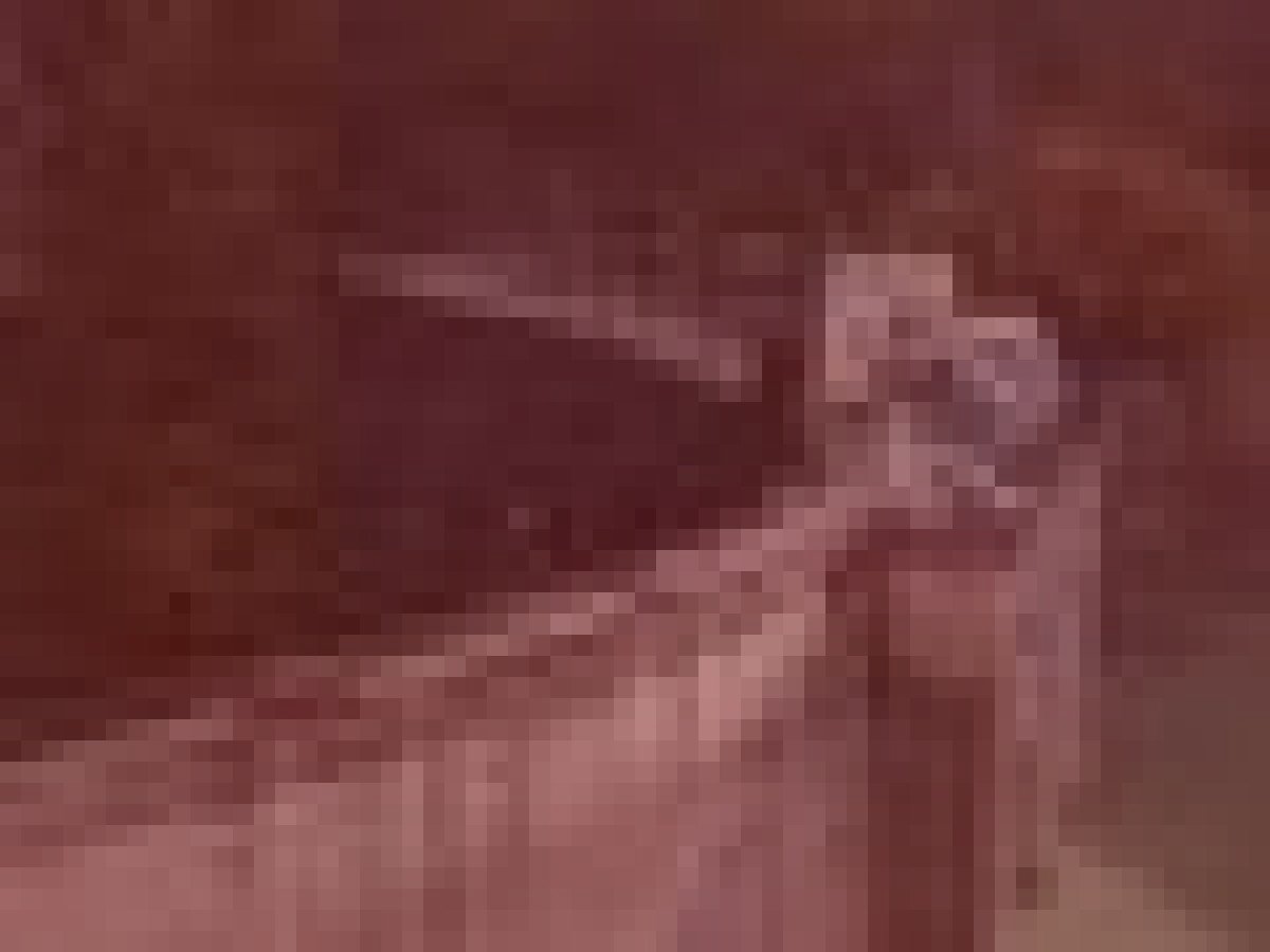 秩父湖吊り橋二瀬ダムのイメージ（モザイク処理済み）