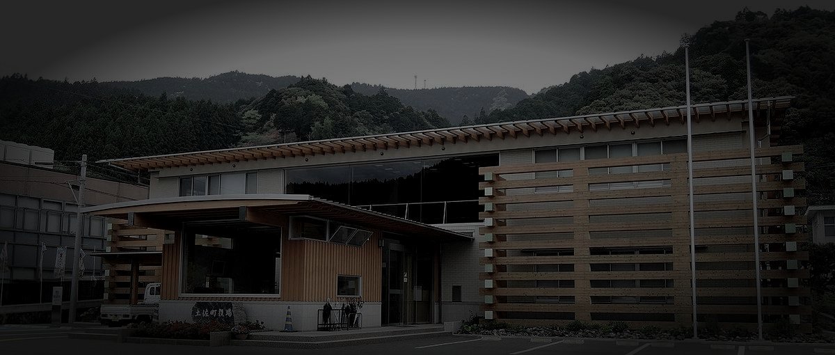 土佐郡土佐町の廃農村のイメージ（モザイク処理済み）