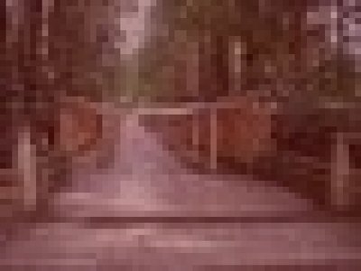 弥彦村旧弥彦神社境内の怨霊