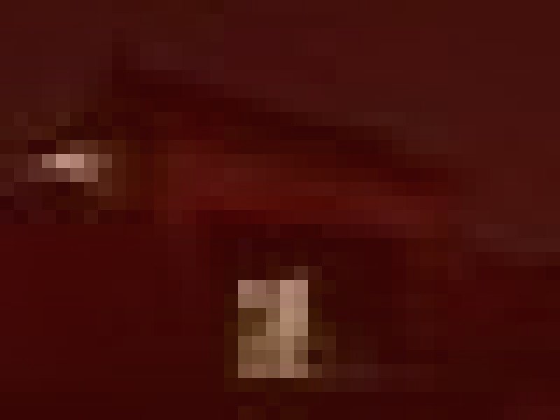 赤穂城跡の義士の霊のイメージ（モザイク処理済み）