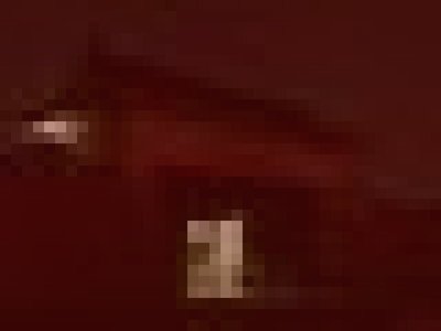 赤穂城跡の義士の霊