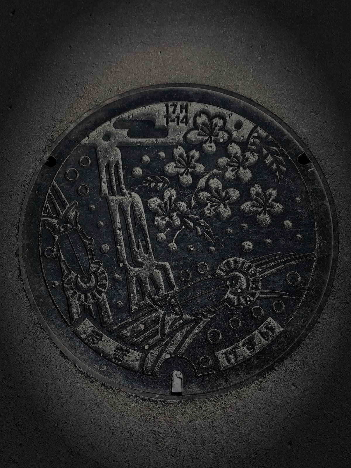 小城市の旧廃農村のイメージ（モザイク処理済み）