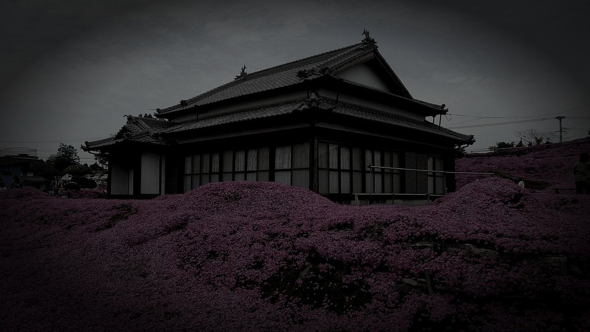 新富町の廃農村のイメージ（モザイク処理済み）