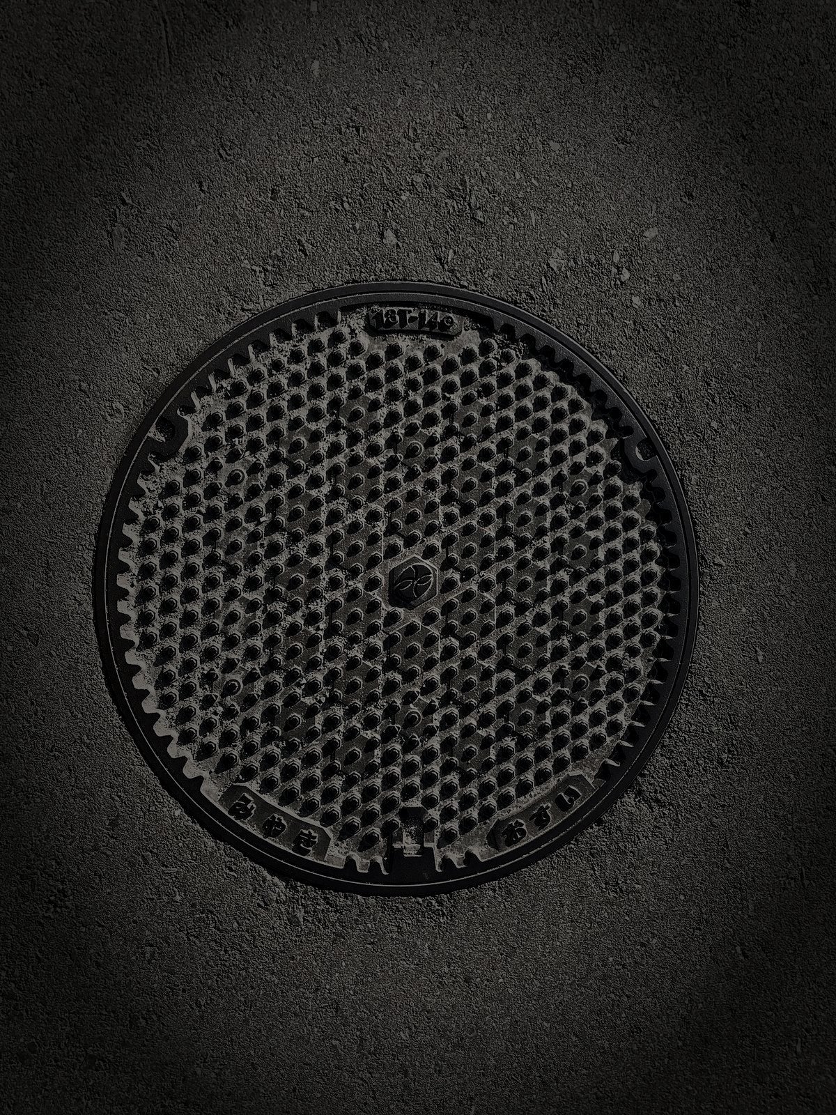 みやき町の廃農村のイメージ（モザイク処理済み）