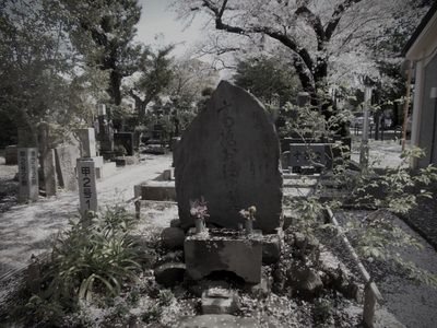谷中霊園