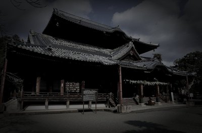 紀の川市廃農村の怪火