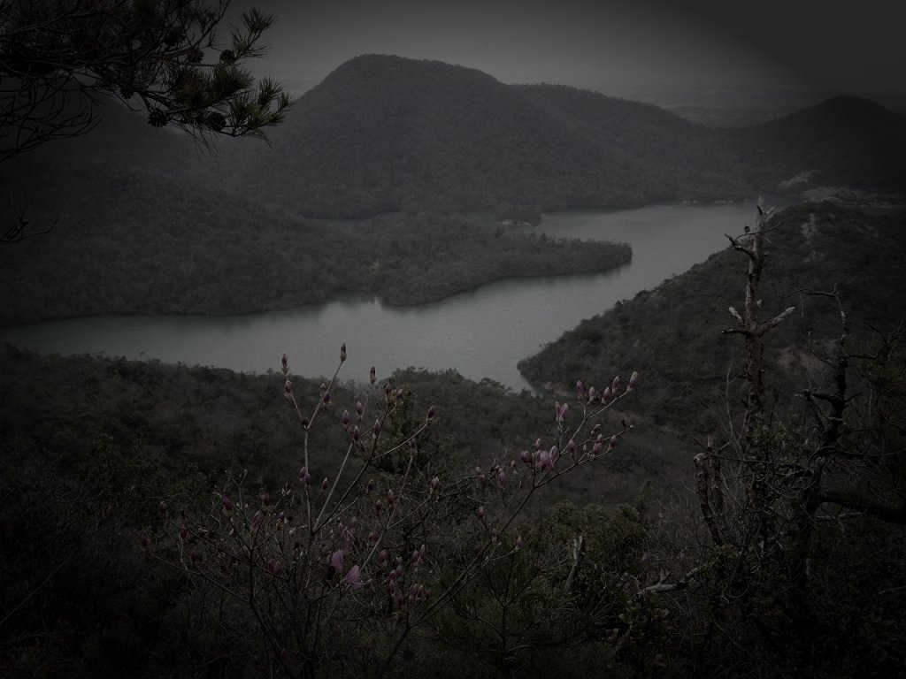 加東市の廃集落のイメージ（モザイク処理済み）