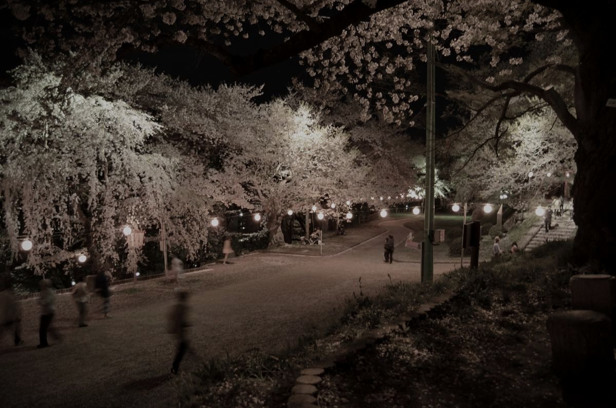 烏帽子山公園のイメージ 1 / 3(モザイク処理済み)