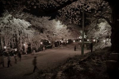 烏帽子山公園 (山形県南陽市の公園・城址)