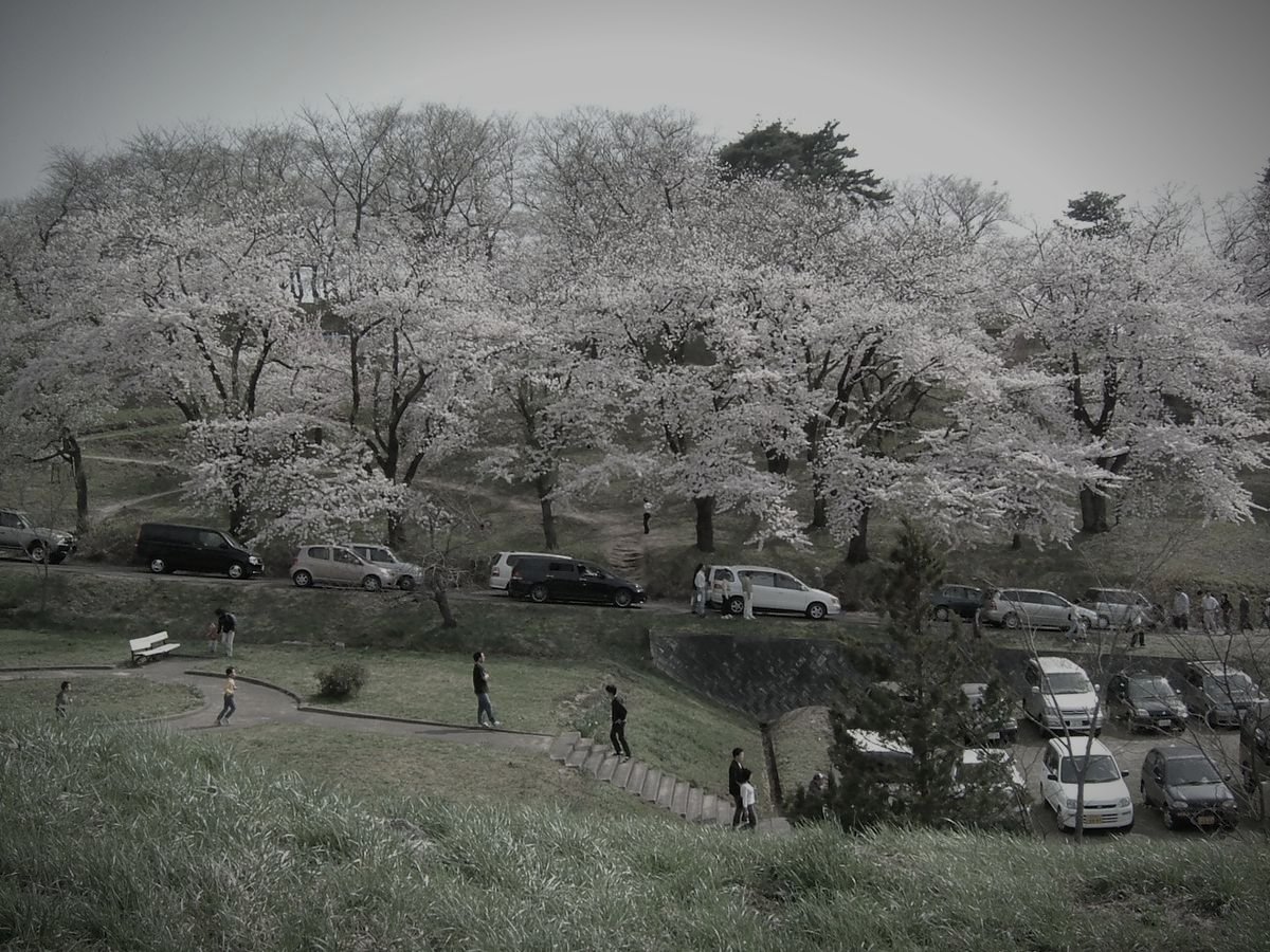 烏帽子山公園のイメージ 2 / 3(モザイク処理済み)