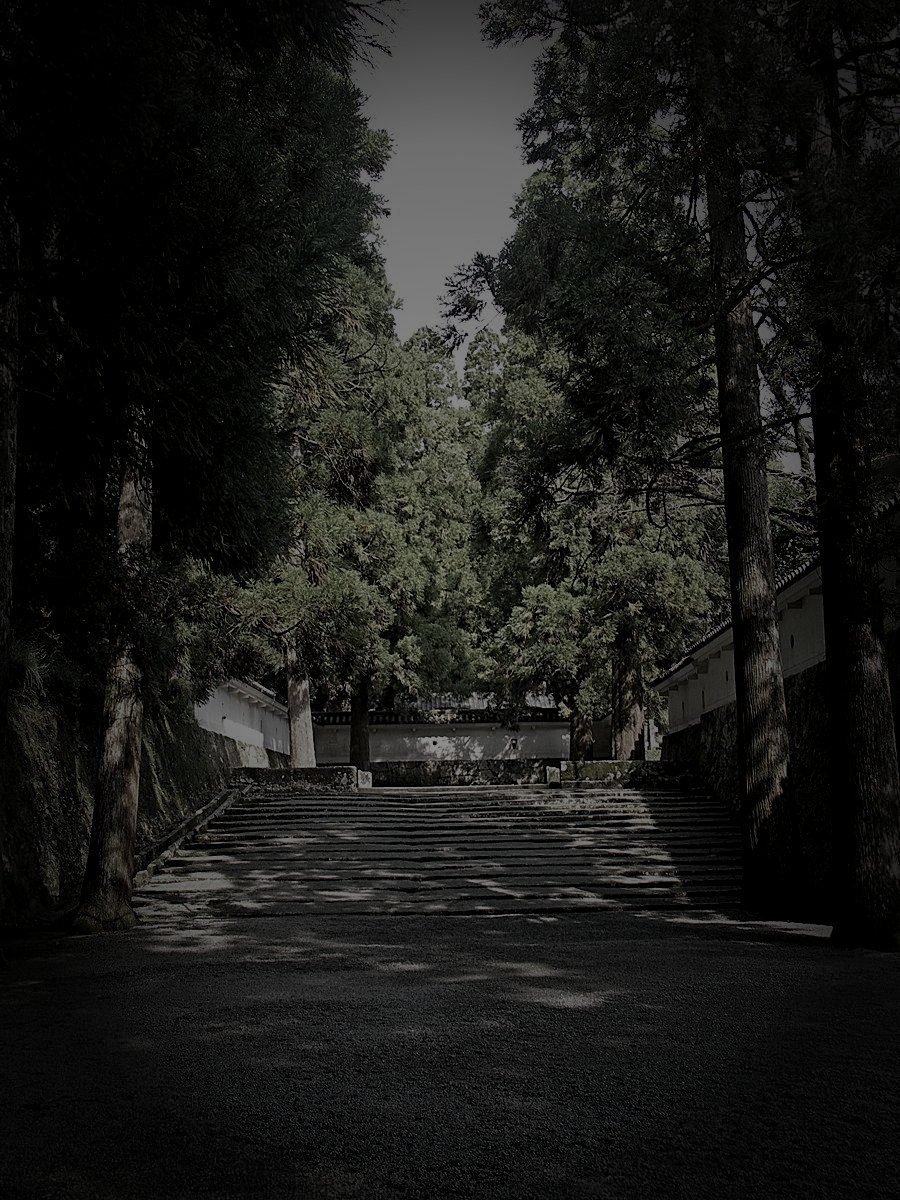 飫肥城廃墟区域のイメージ（モザイク処理済み）