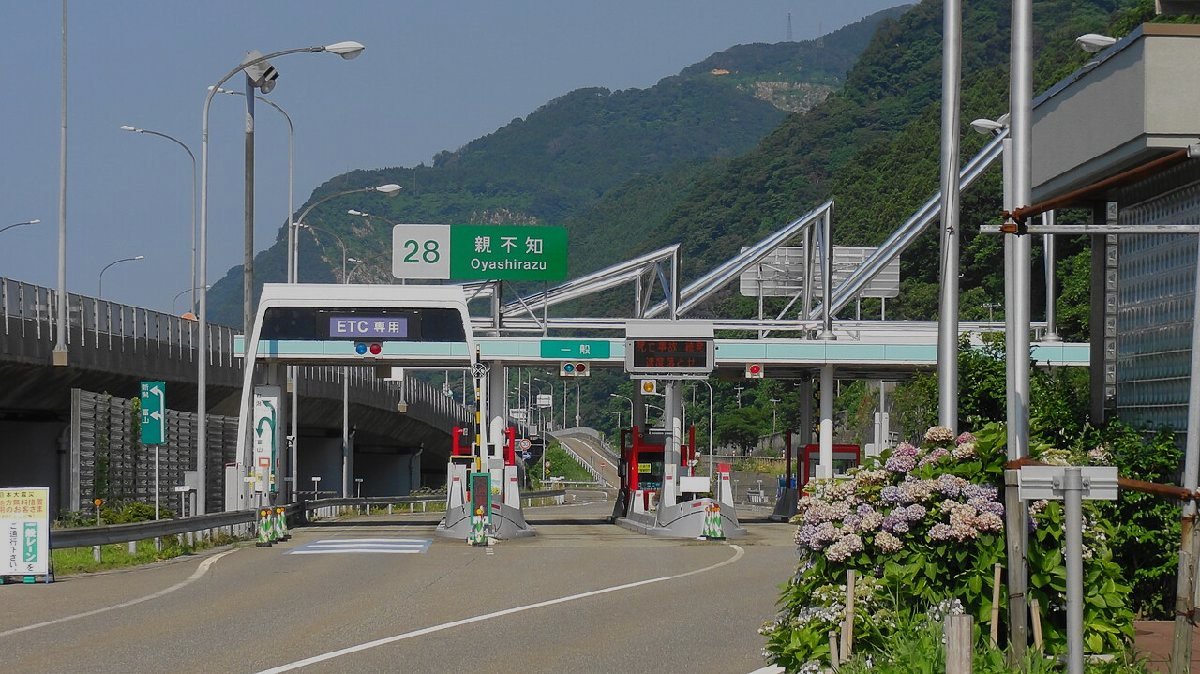 親不知のイメージ(モザイク処理済み)