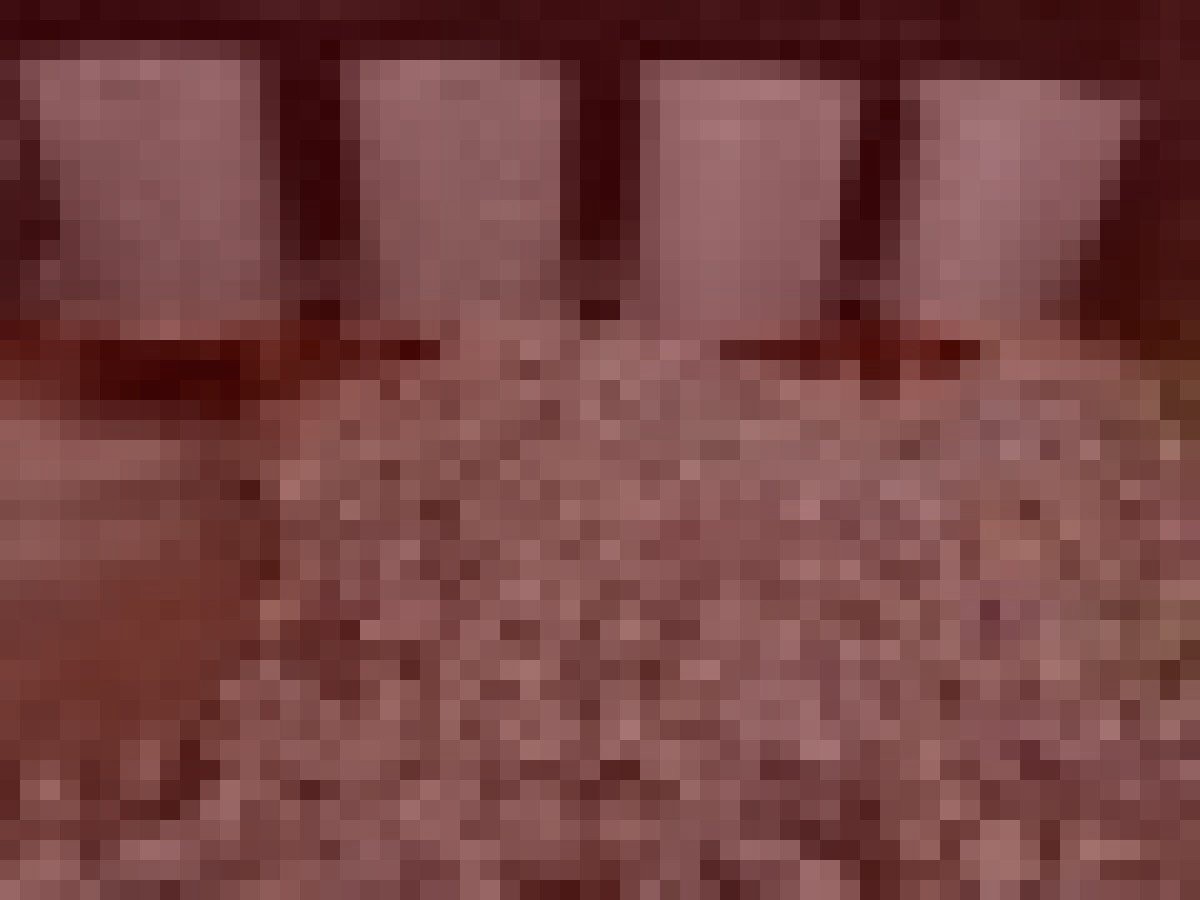 豊田市旧矢作川上流の水難霊のイメージ（モザイク処理済み）