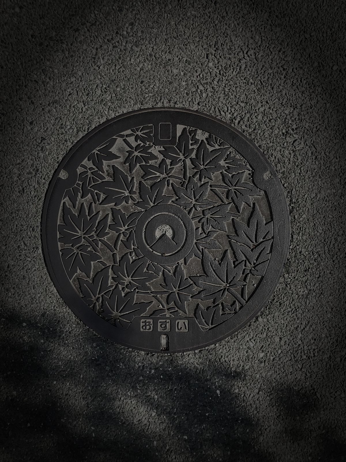 糸島市の旧廃漁村のイメージ（モザイク処理済み）