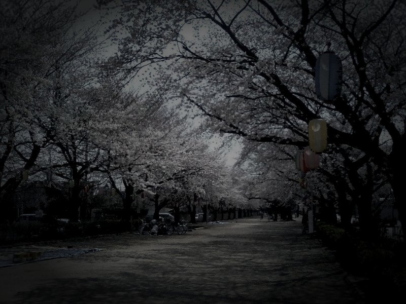 ふじみ野市廃病院の患者霊のイメージ（モザイク処理済み）