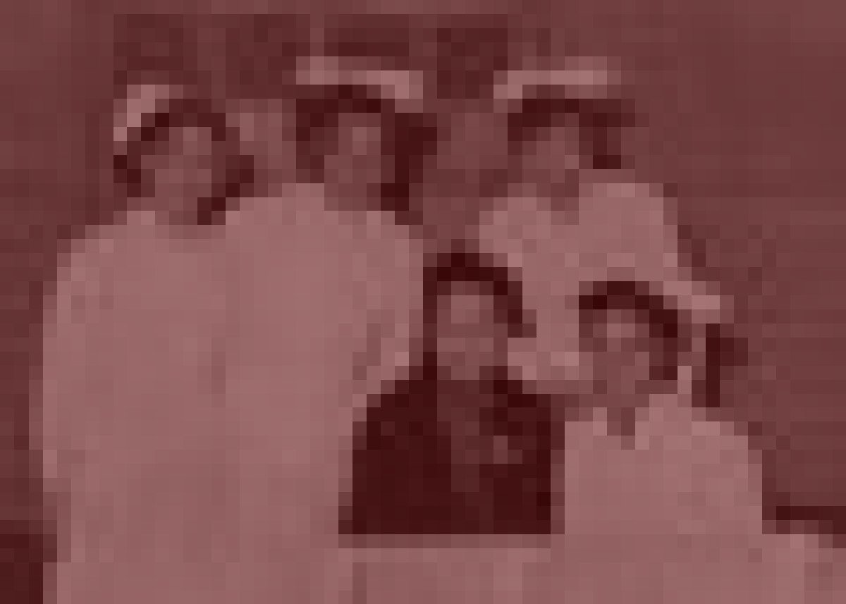 小平市旧精神科療養所廃墟のイメージ（モザイク処理済み）