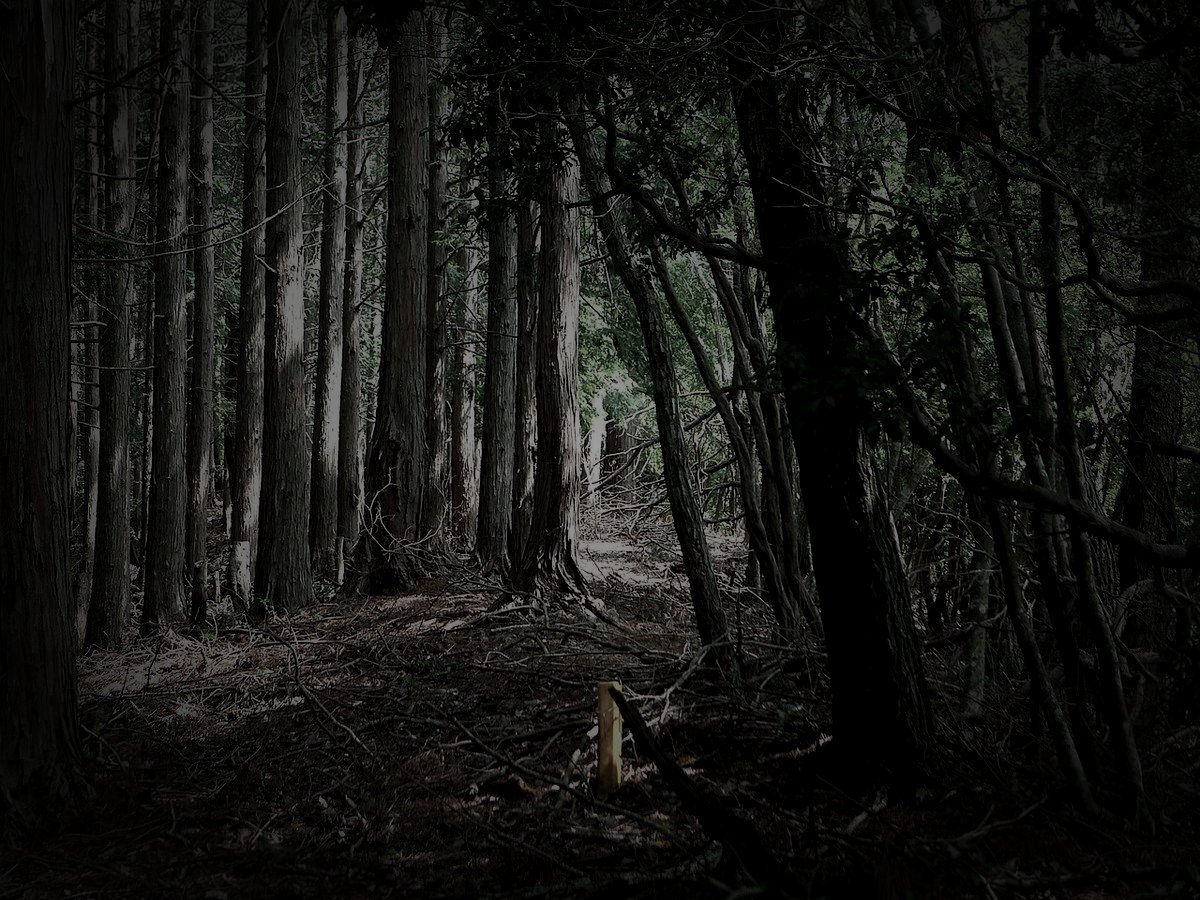 廃村八丁のイメージ（モザイク処理済み）