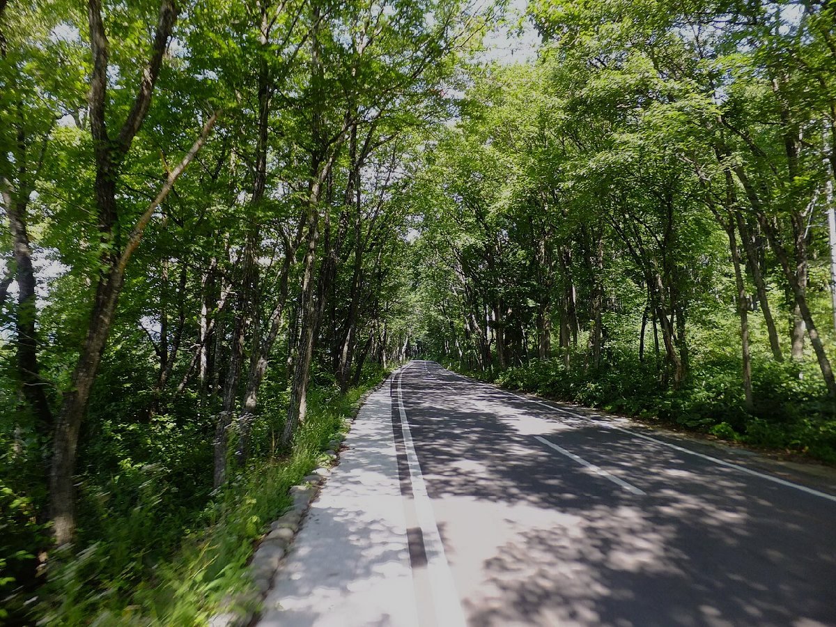 田沢湖のイメージ（モザイク処理済み）