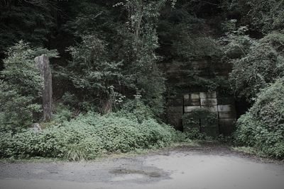 犬鳴峠