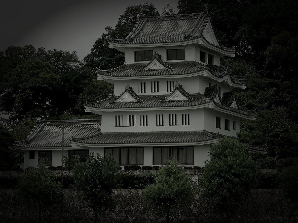 尾張旭市廃農村の怪火のイメージ（モザイク処理済み）