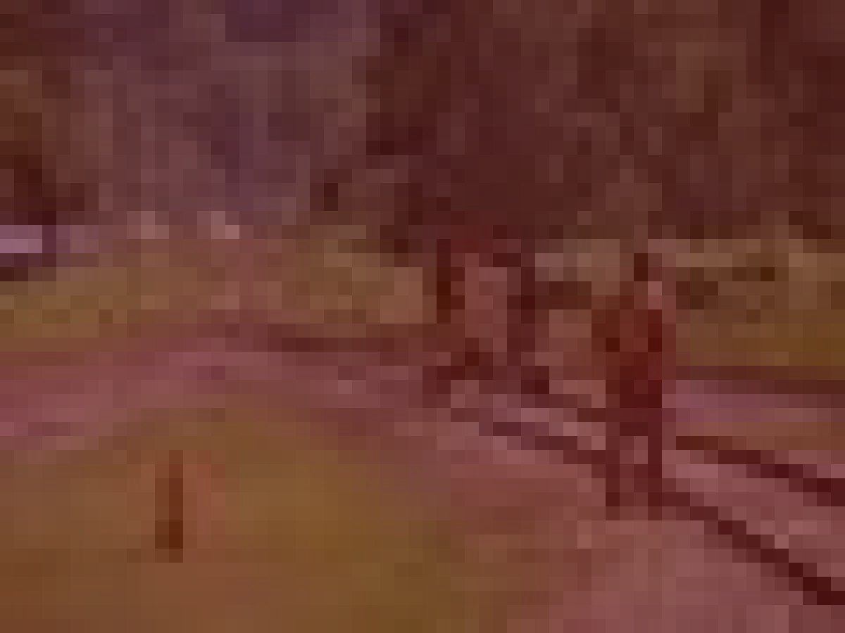 旧国鉄美幸線廃線跡のイメージ（モザイク処理済み）