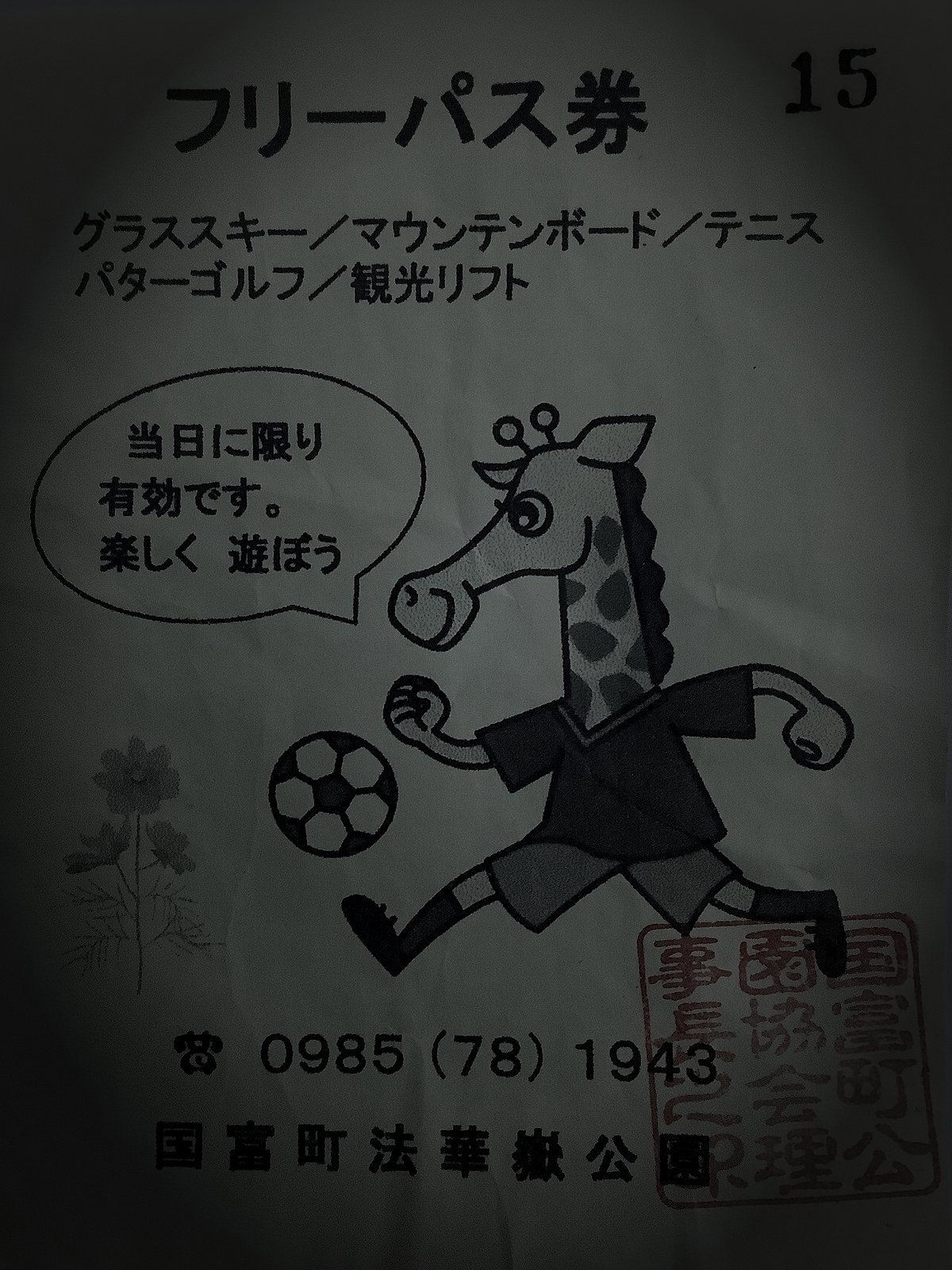 国富町の廃農村の霊のイメージ(モザイク処理済み)