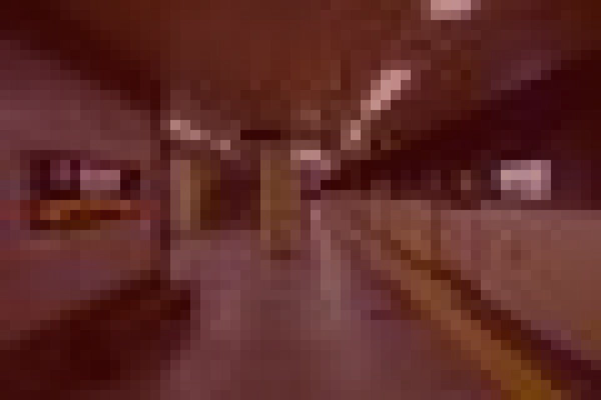 円山公園の夜の人影のイメージ(モザイク処理済み)