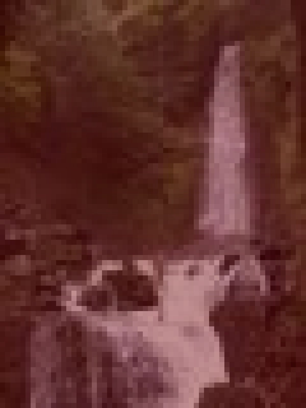 養老町旧養老滝の水難霊のイメージ（モザイク処理済み）