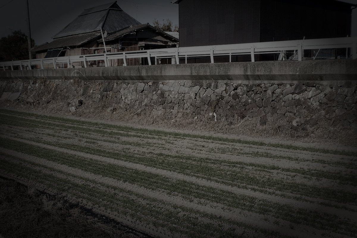 柳川市の旧廃水路の霊のイメージ（モザイク処理済み）