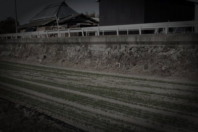 柳川市の旧廃水路の霊