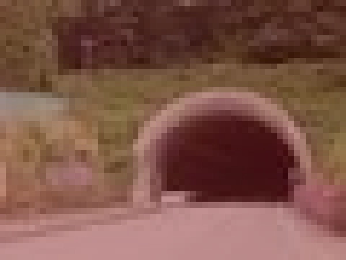 旧四十九院トンネルのイメージ（モザイク処理済み）