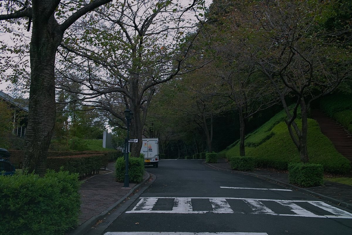 多摩霊園のイメージ（モザイク処理済み）