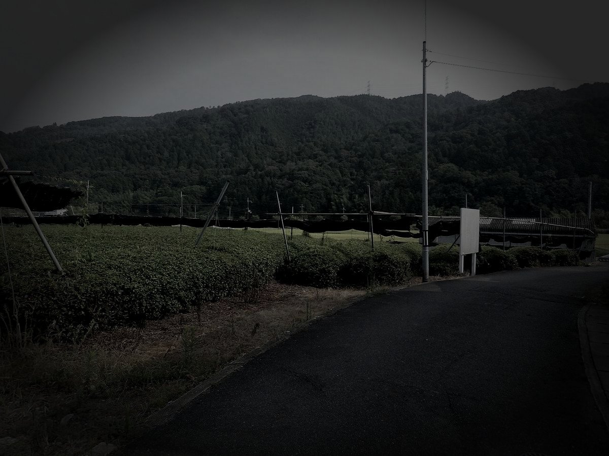 宇治田原町廃農村の怪火のイメージ（モザイク処理済み）