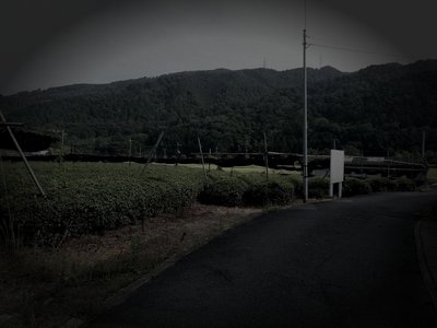 宇治田原町廃農村の怪火