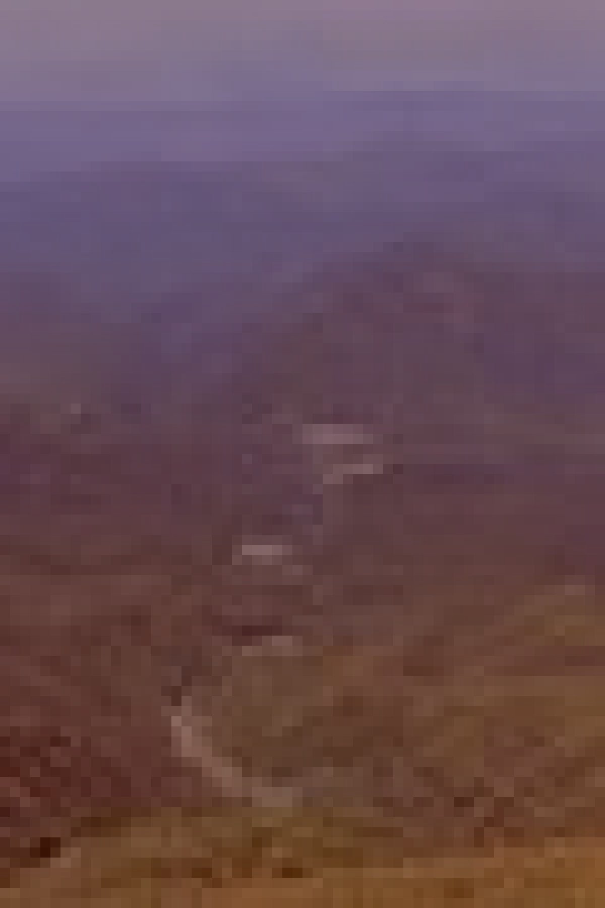 蟹江町旧木曽川支流の水難霊のイメージ（モザイク処理済み）