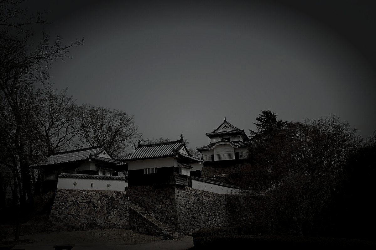 高梁市の備中松山城の霊のイメージ（モザイク処理済み）