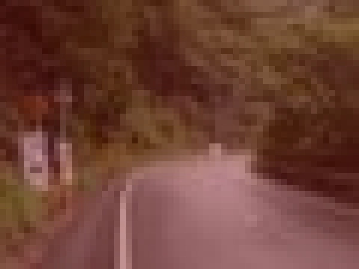 秩父ルート幽霊トンネルのイメージ（モザイク処理済み）