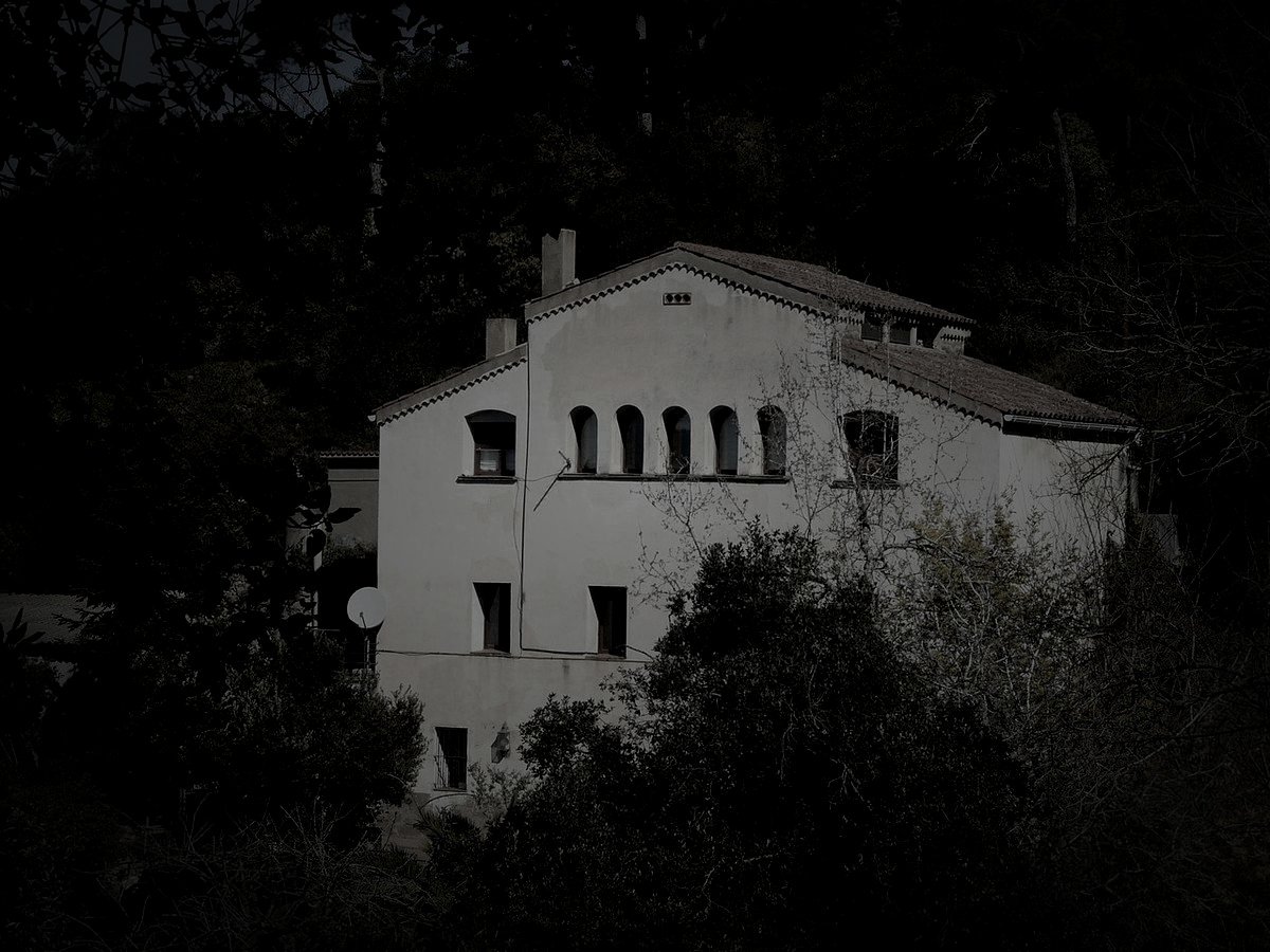 安芸郡田野町の廃農家のイメージ（モザイク処理済み）