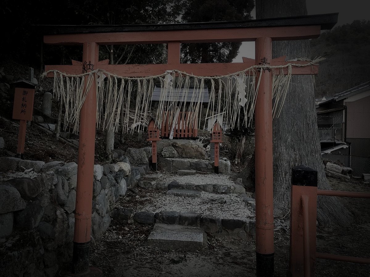 深泥池（みどろがいけ）のイメージ（モザイク処理済み）